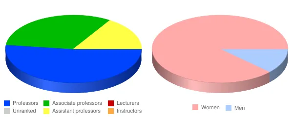River Valley Community College Faculty Demographics Chart