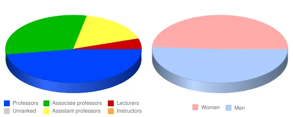 Robert Morris University Faculty Demographics Chart