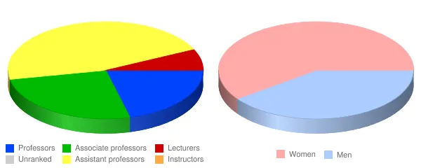 Rockford University Faculty Demographics Chart