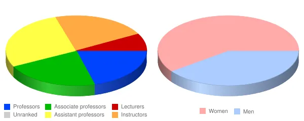 Rockland Community College Faculty Demographics Chart
