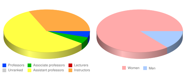 Saint Anthony College of Nursing Faculty Demographics Chart