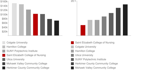 Saint Elizabeth College of Nursing Faculty Compensation and Workload Chart