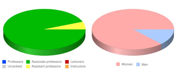Saint Elizabeth College of Nursing Faculty Demographics Chart