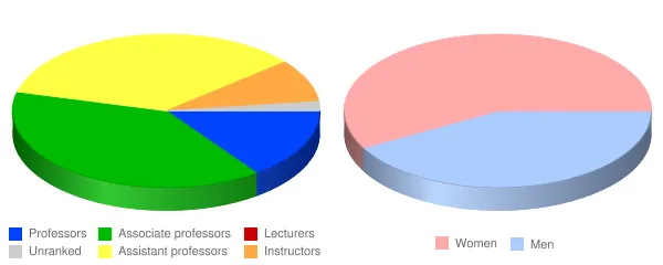 St. John Fisher University Faculty Demographics Chart