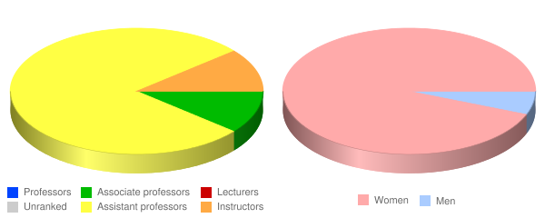 St. John's College Department of Nursing Faculty Demographics Chart