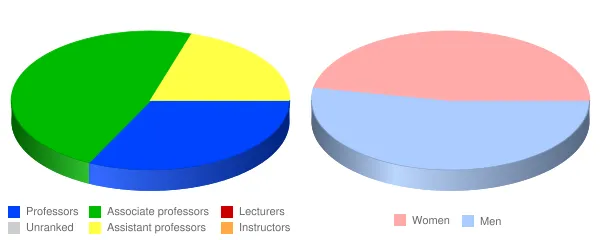 St. John's University New York Faculty Demographics Chart