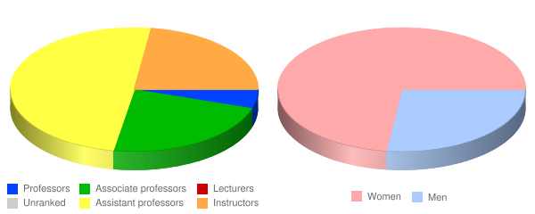 St Joseph's College of Nursing at St Joseph's Hospital Health Center Faculty Demographics Chart