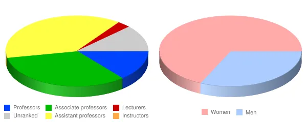 Saint Mary's College Faculty Demographics Chart
