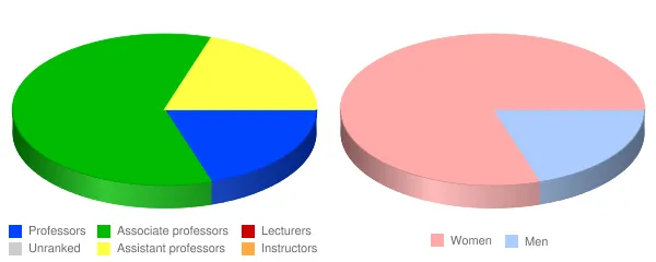 SIT Graduate Institute Faculty Demographics Chart
