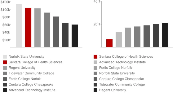Sentara College of Health Sciences Faculty Compensation and Workload Chart