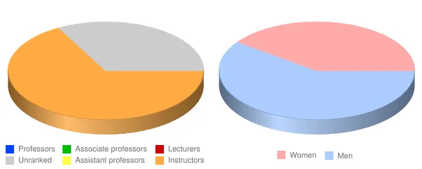 Sisseton Wahpeton College Faculty Demographics Chart