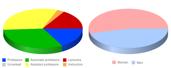 South Georgia State College Faculty Demographics Chart