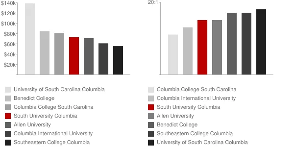 South University Columbia Faculty Compensation and Workload Chart