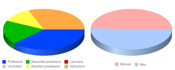 Southern Maine Community College Faculty Demographics Chart