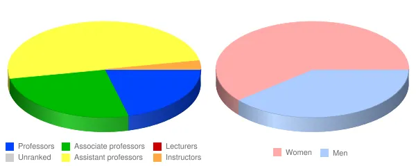 Springfield College Faculty Demographics Chart
