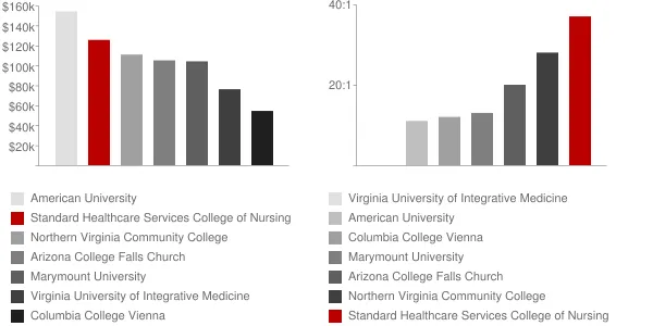 Standard Healthcare Services College of Nursing Faculty Compensation and Workload Chart