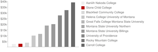 Stone Child College Tuition Comparison Chart