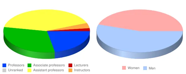 State University of New York at Oswego Faculty Demographics Chart