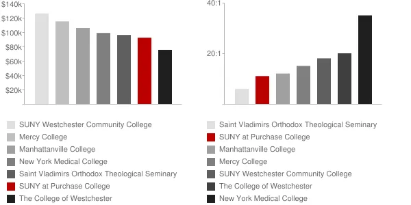 SUNY at Purchase College Faculty Compensation and Workload Chart