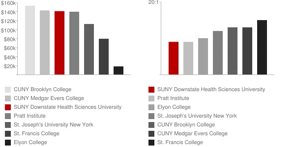 SUNY Downstate Health Sciences University Faculty Compensation and Workload Chart