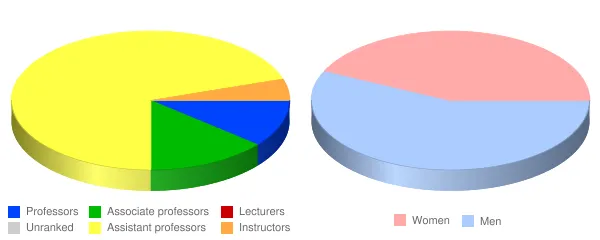 Upstate Medical University Faculty Demographics Chart