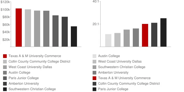 Texas A & M University Commerce Faculty Compensation and Workload Chart