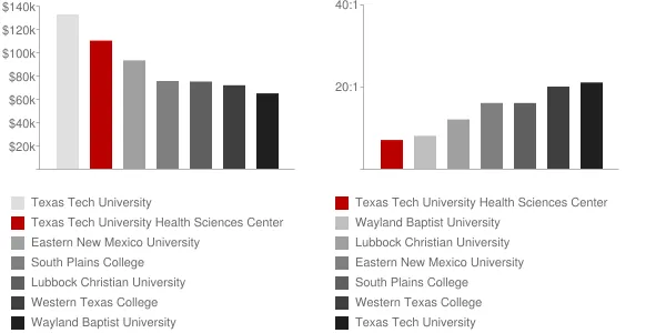 Texas Tech University Health Sciences Center Faculty Compensation and Workload Chart