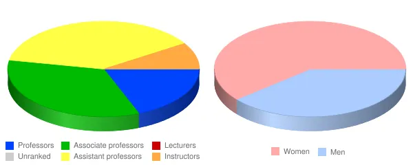 Community College of Baltimore County Faculty Demographics Chart