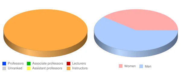 Tohono O'odham Community College Faculty Demographics Chart