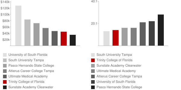 Trinity College of Florida Faculty Compensation and Workload Chart