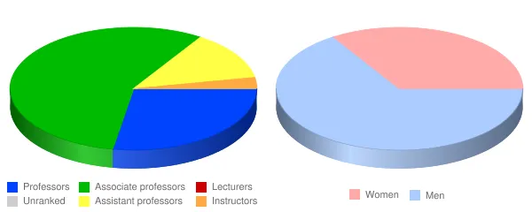 Universidad Politecnica de Puerto Rico Faculty Demographics Chart
