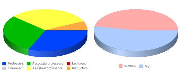 University of Delaware Faculty Demographics Chart