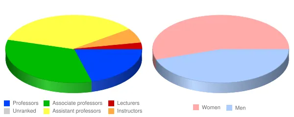 University of Detroit Mercy Faculty Demographics Chart