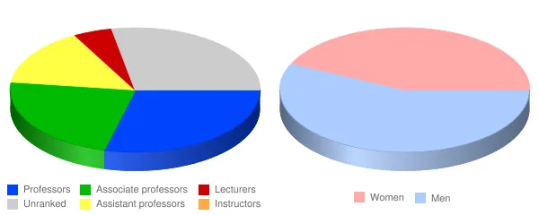 University of Houston Faculty Demographics Chart