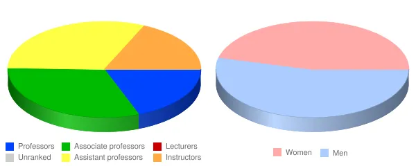 University of Minnesota Duluth Faculty Demographics Chart