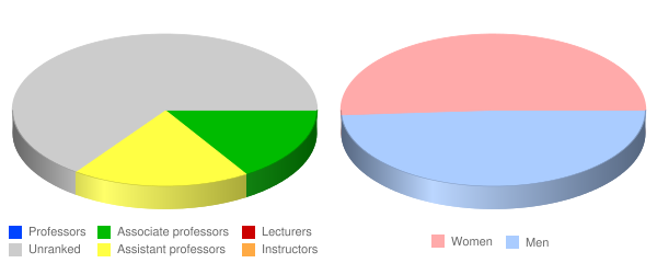 University of Minnesota Rochester Faculty Demographics Chart