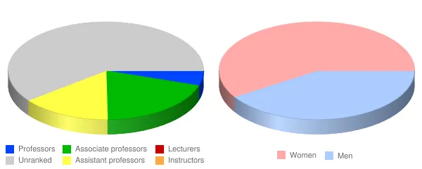 University of Minnesota Rochester Faculty Demographics Chart