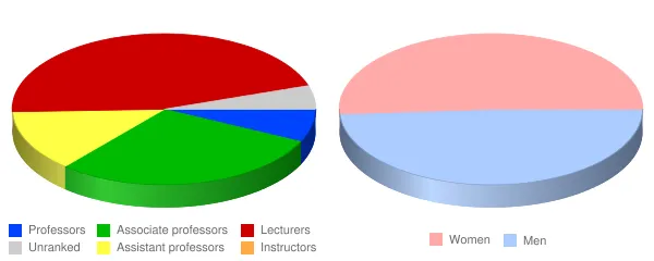 University of New Mexico Gallup Faculty Demographics Chart