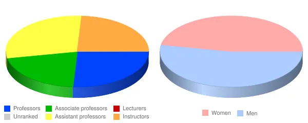 University of Puerto Rico Carolina Faculty Demographics Chart
