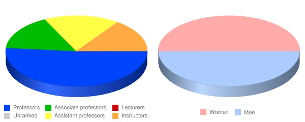 University of Puerto Rico Humacao Faculty Demographics Chart