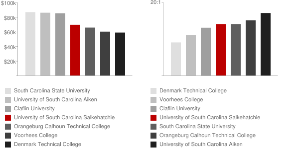 University of South Carolina Salkehatchie Faculty Compensation and Workload Chart
