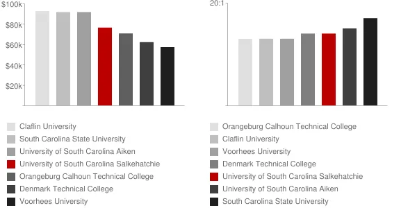 University of South Carolina Salkehatchie Faculty Compensation and Workload Chart