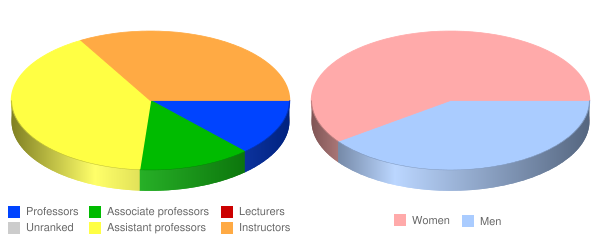 University of South Carolina Union Faculty Demographics Chart