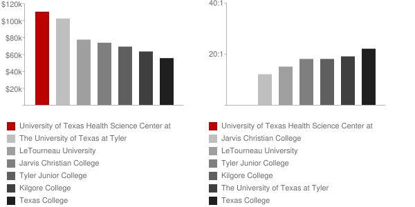 University of Texas Health Science Center at Tyler Faculty Compensation and Workload Chart