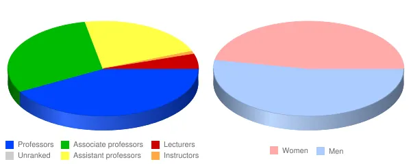 University of Washington Seattle Faculty Demographics Chart