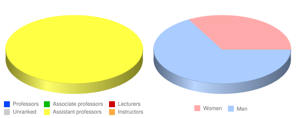 Valor Christian College Faculty Demographics Chart