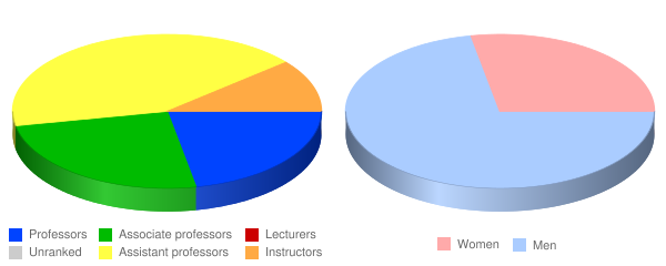 Vaughn College of Aeronautics and Technology Faculty Demographics Chart