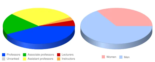 Virginia Military Institute Faculty Demographics Chart