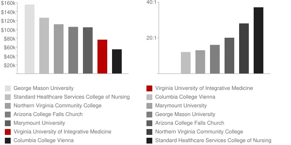 Virginia University of Integrative Medicine Faculty Compensation and Workload Chart