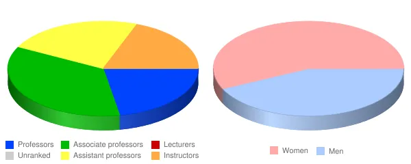 Virginia Western Community College Faculty Demographics Chart